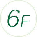 6F