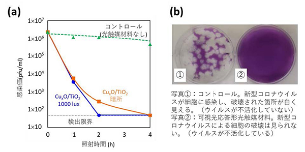 図 ウイルス量の変化（a）とウイルス感染評価結果の一例（b）。